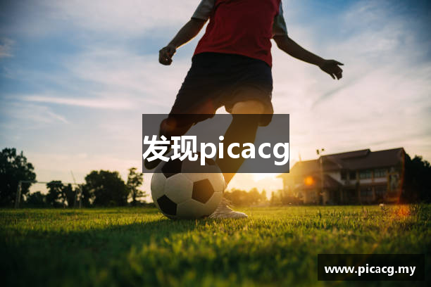 发现picacg